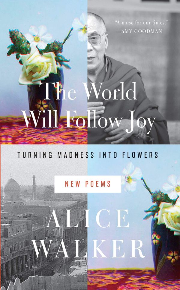 The World Will Follow Joy Book Cover