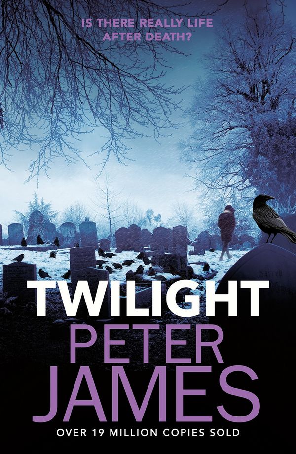 Twilight Book Cover