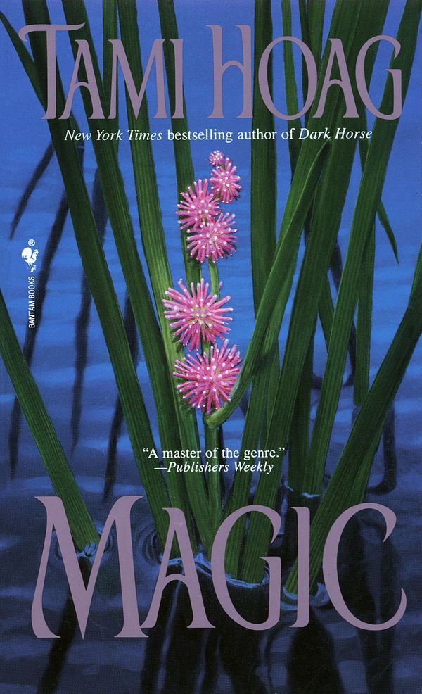 Magic Book Cover