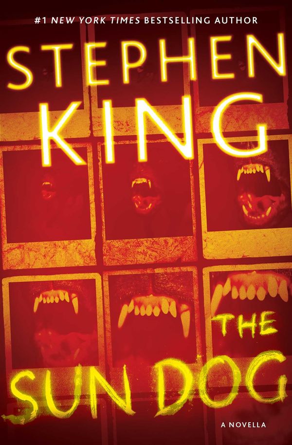 The Sun Dog Book Cover