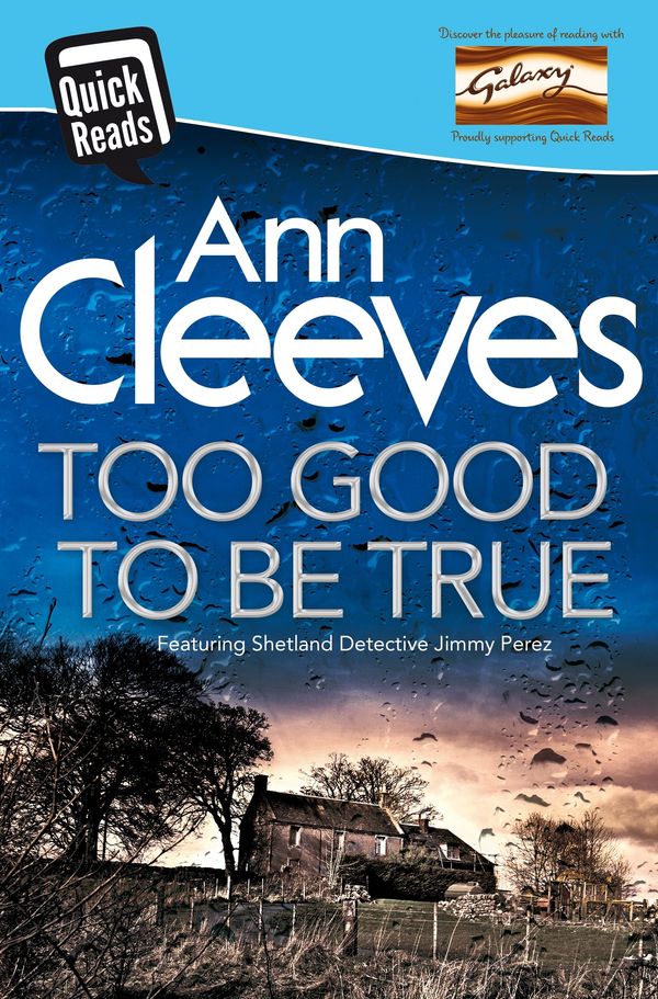 Too Good To Be True Book Cover