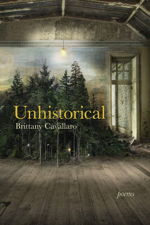 Unhistorical Book Cover