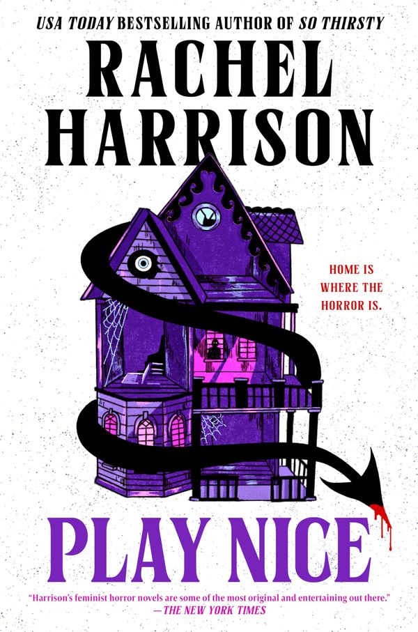 Play Nice Book Cover