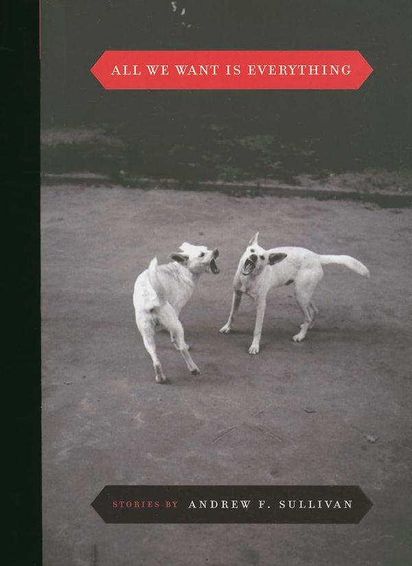 All We Want Is Everything Book Cover