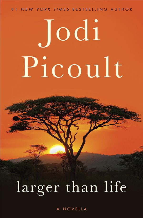 Larger Than Life Book Cover