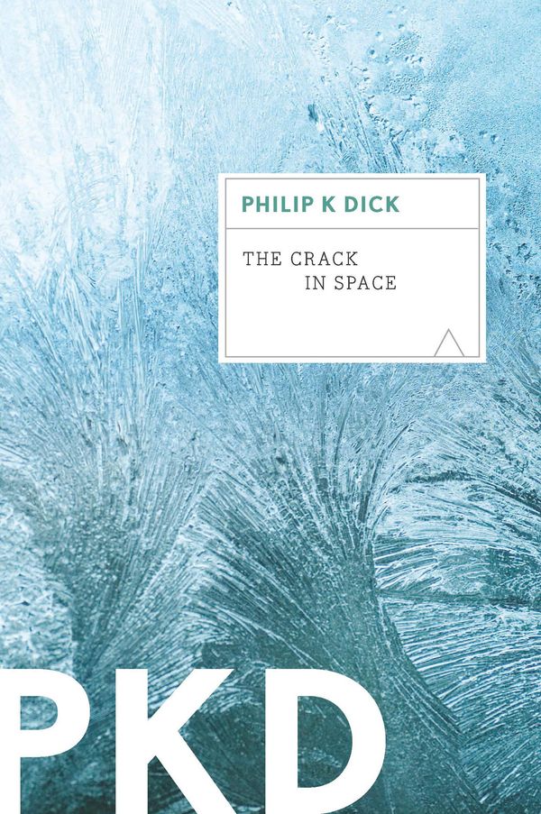 The Crack in Space Book Cover