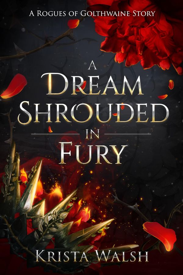 A Dream Shrouded in Fury cover