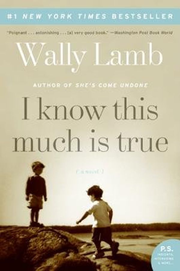 I Know This Much Is True Book Cover