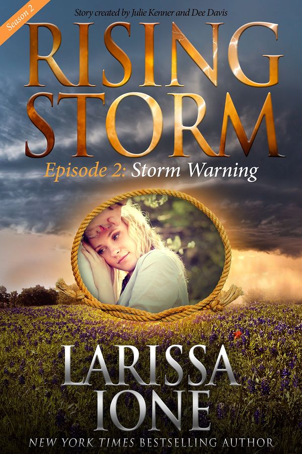 Storm Warning Book Cover