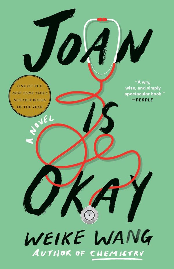 Joan Is Okay Book Cover