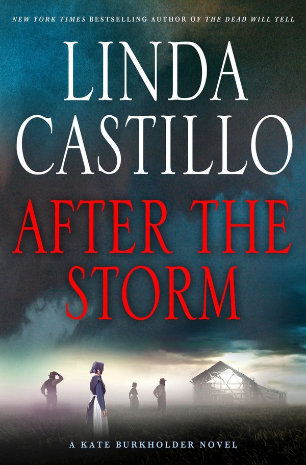 After the Storm Book Cover