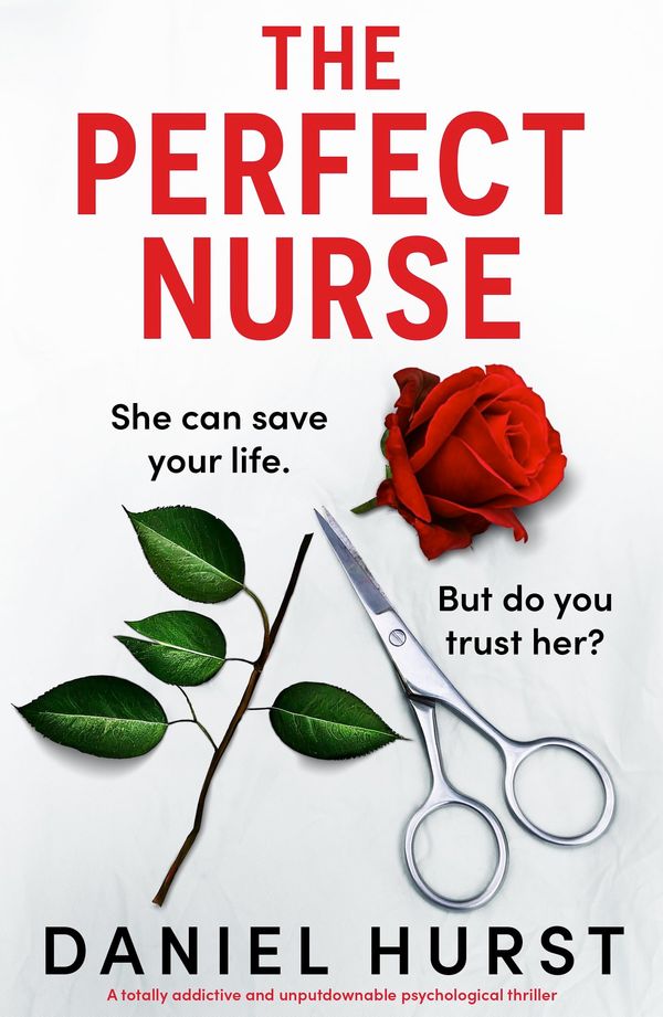 The Perfect Nurse cover