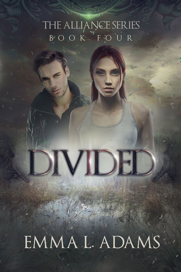 Divided Book Cover