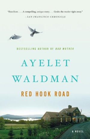 Red Hook Road