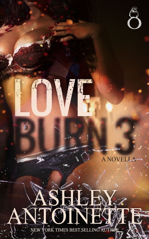 Love Burn 3 cover