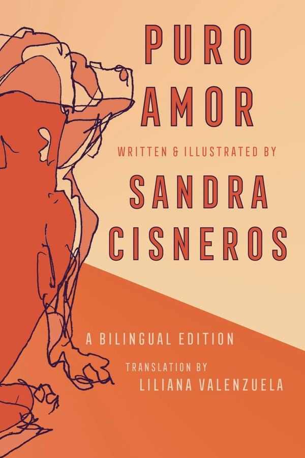 Puro Amor Book Cover