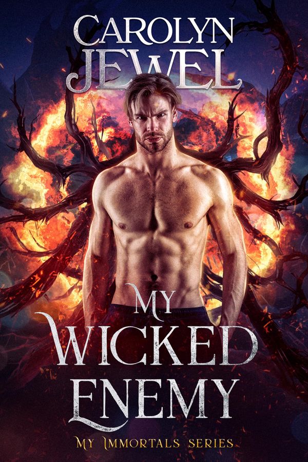 My Wicked Enemy cover