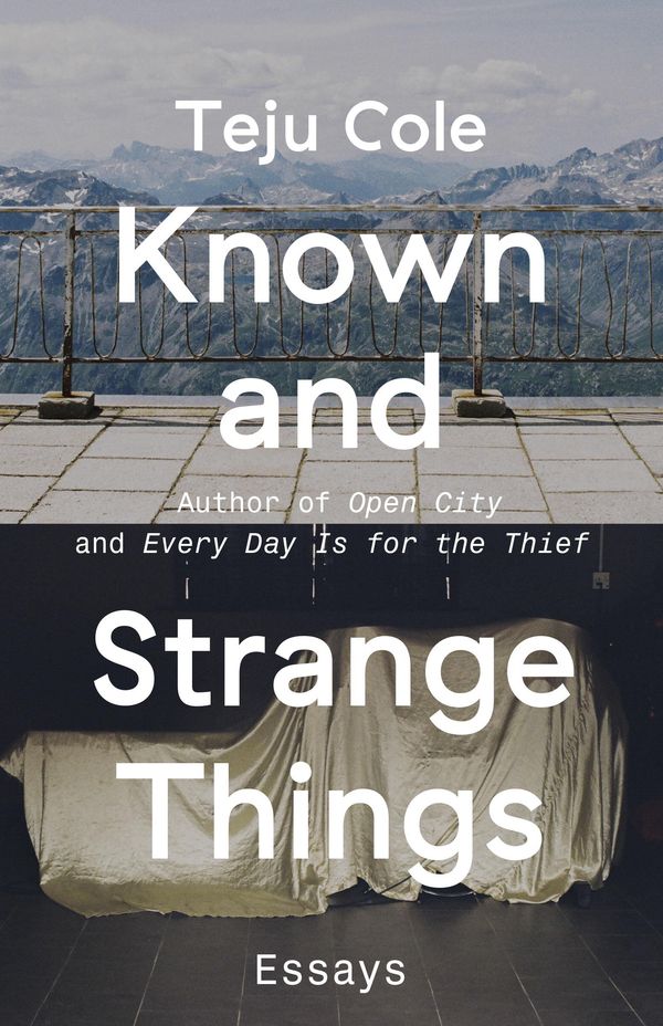 Known and Strange Things: Essays Book Cover