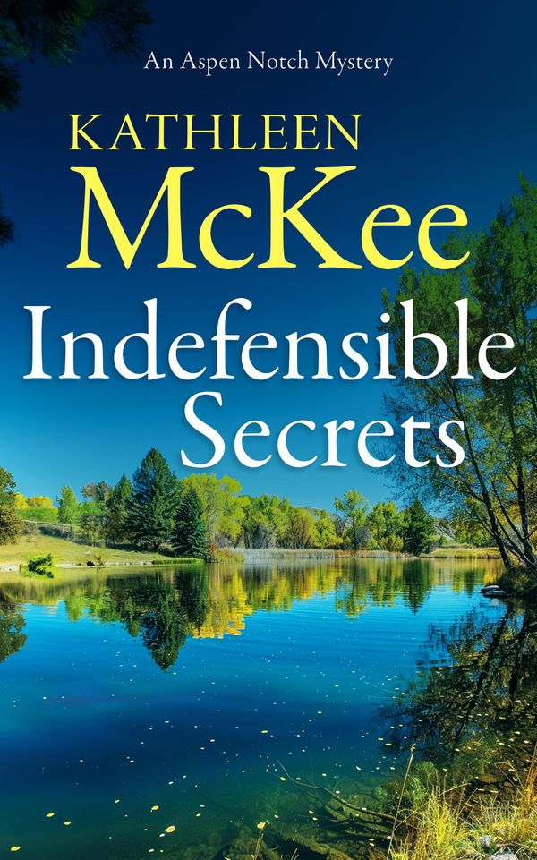 Indefensible Secrets Book Cover