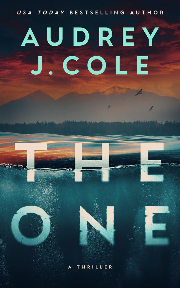 The One Book Cover