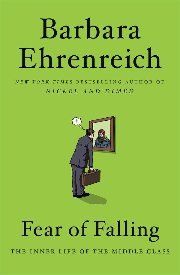 Fear of Falling Book Cover