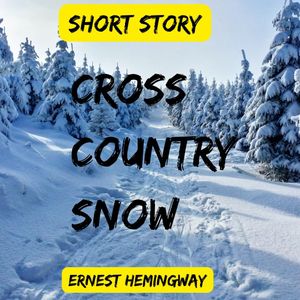 Cross Country Snow