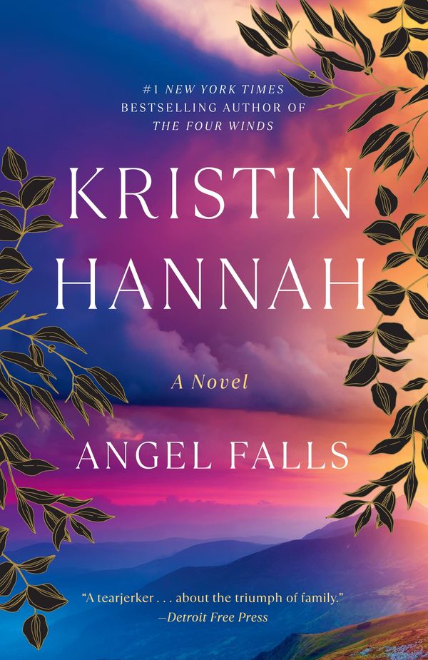Angel Falls Book Cover