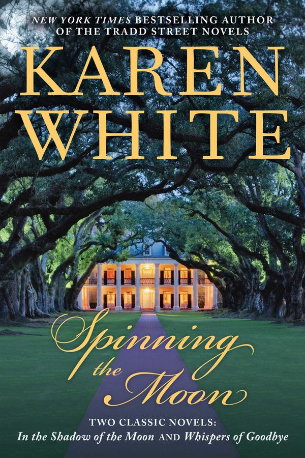 Spinning the Moon Book Cover
