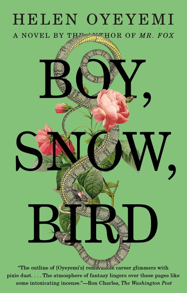 Boy, Snow, Bird Book Cover