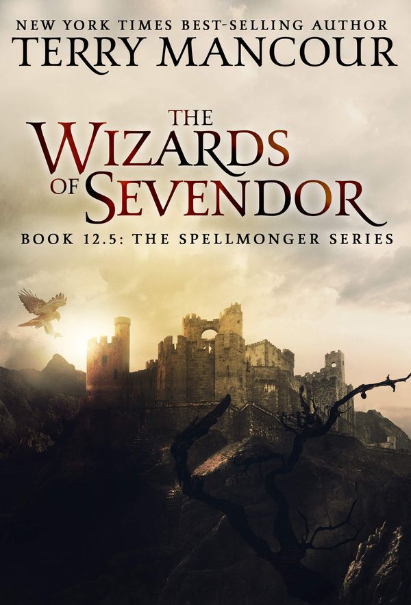 The Wizards of Sevendor Book Cover