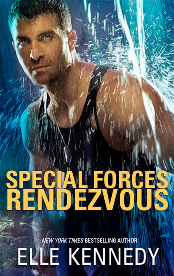 Special Forces Rendezvous Book Cover