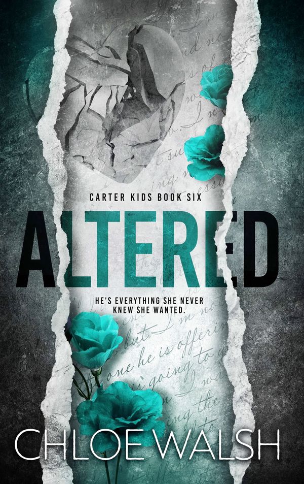 Altered Book Cover