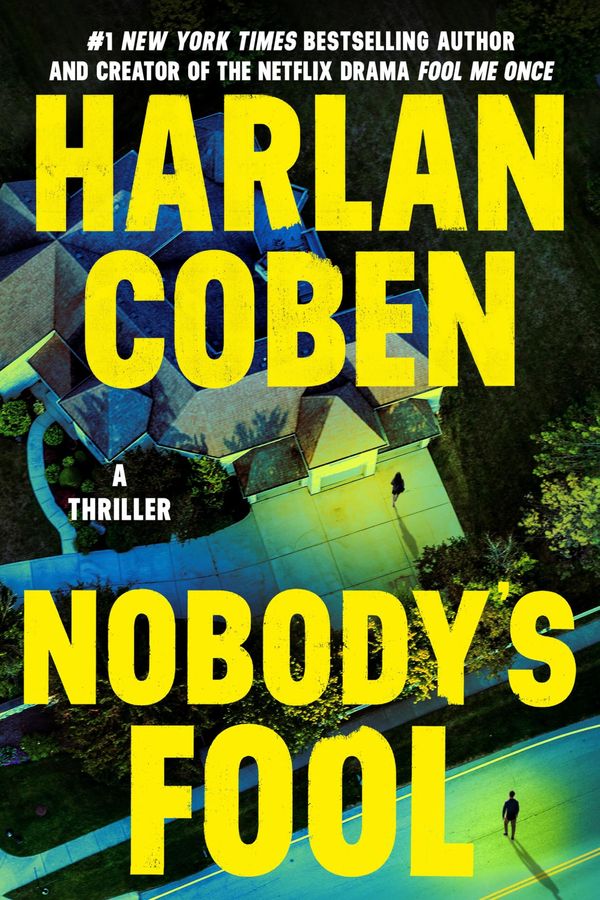 Nobody's Fool Book Cover