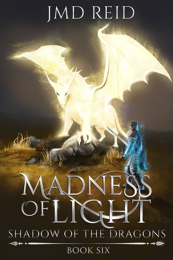 Madness of Light Book Cover