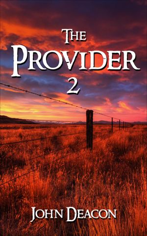 The Provider 2