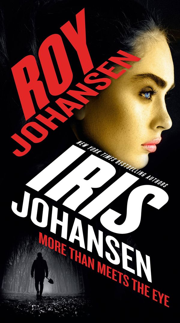 More Than Meets the Eye Book Cover