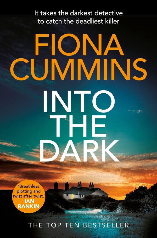 Into the Dark Book Cover