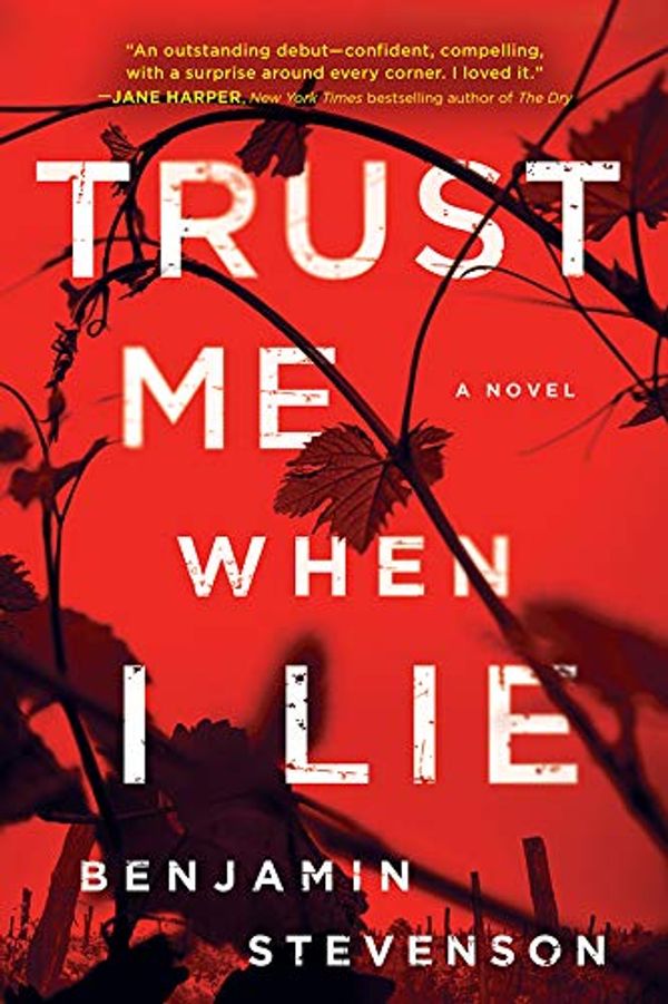 Trust Me When I Lie Book Cover