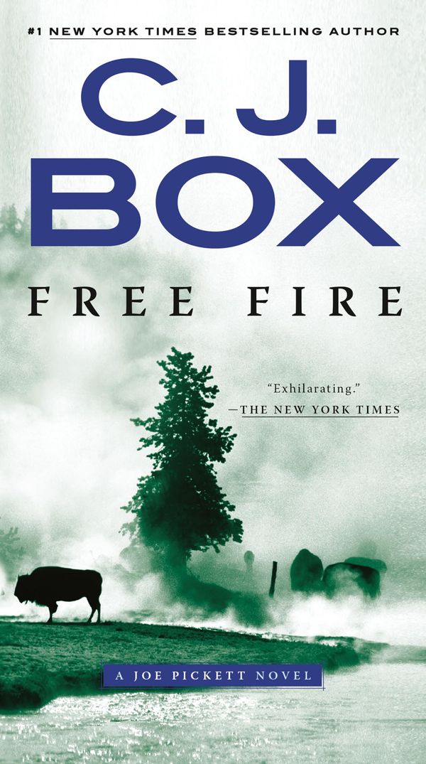 Free Fire Book Cover