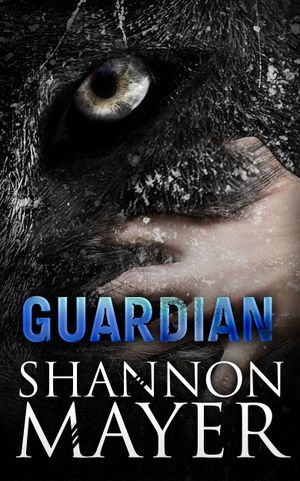 Guardian: Book 6.5