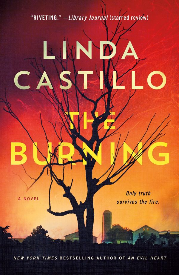 The Burning Book Cover