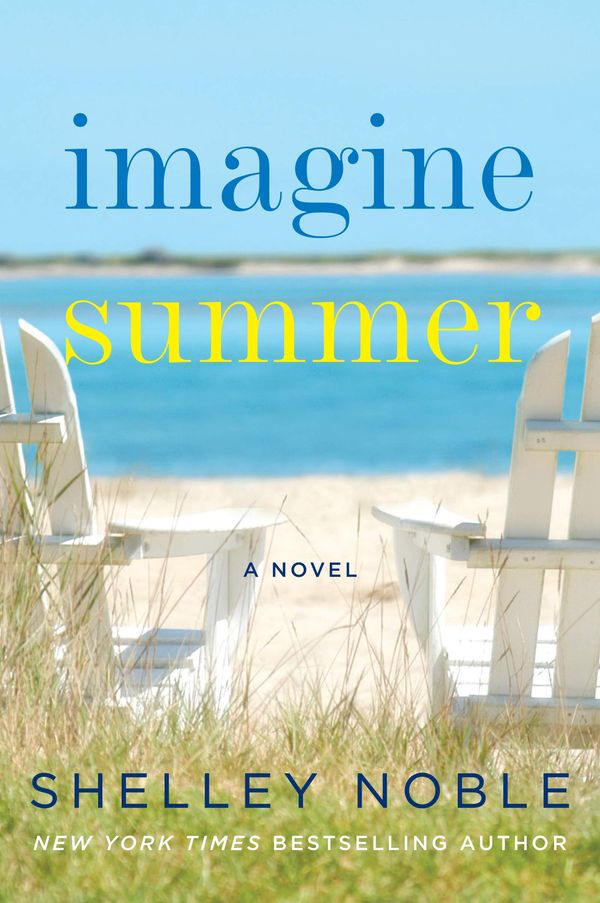 Imagine Summer Book Cover