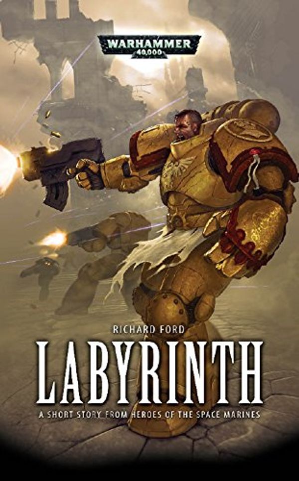 The Labyrinth Book Cover