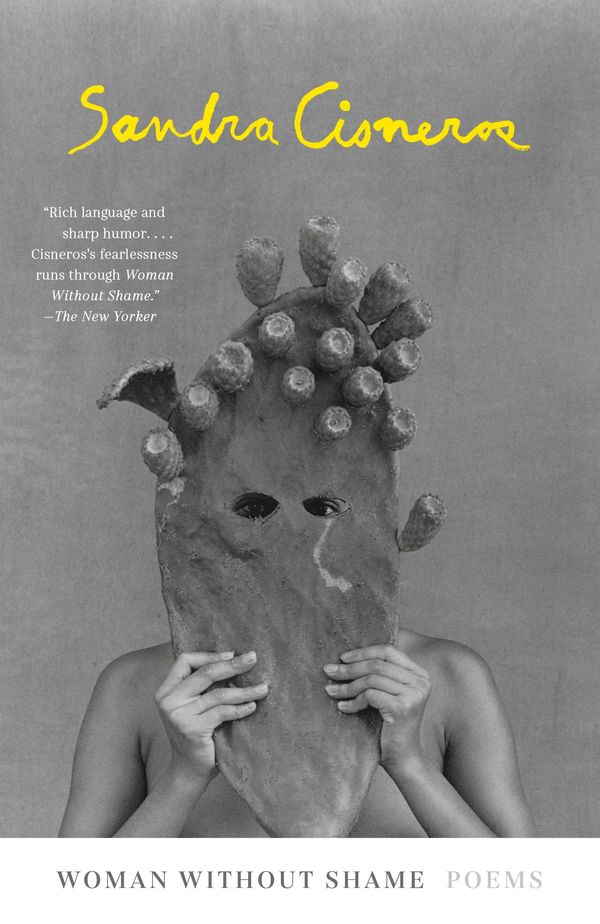 Woman Without Shame Book Cover