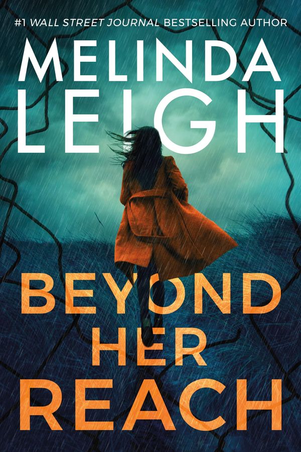 Beyond Her Reach Book Cover