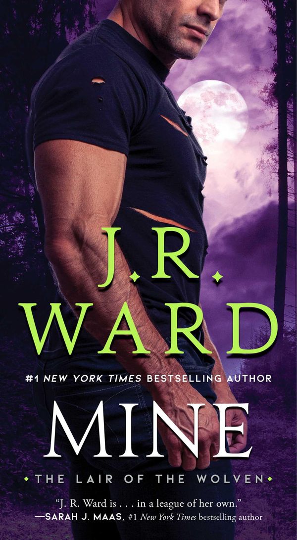Mine cover