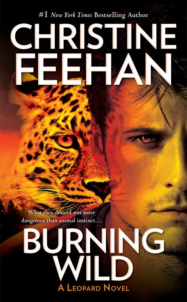 Burning Wild Book Cover
