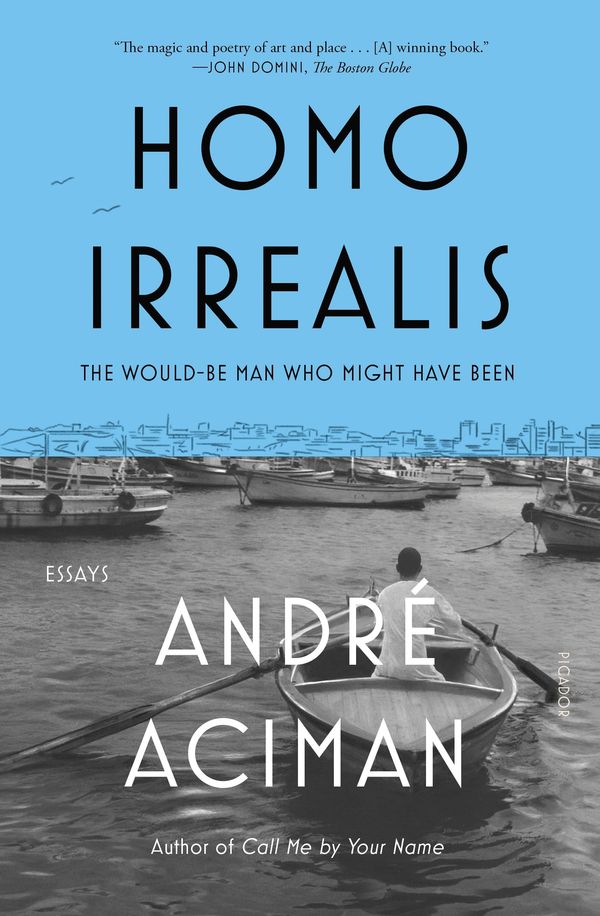 Homo Irrealis Book Cover