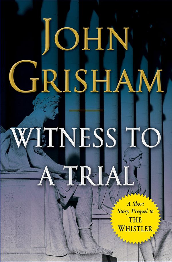 Witness to a Trial cover