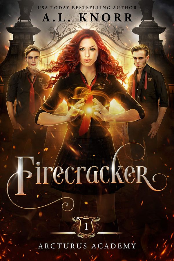 Firecracker Book Cover